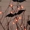 4ft. Pre-Lit Artificial Halloween Black Twig Tree with Bats and 50 Orange LED Lights